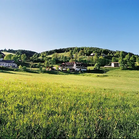 Restaurant Stigenwirth 4*